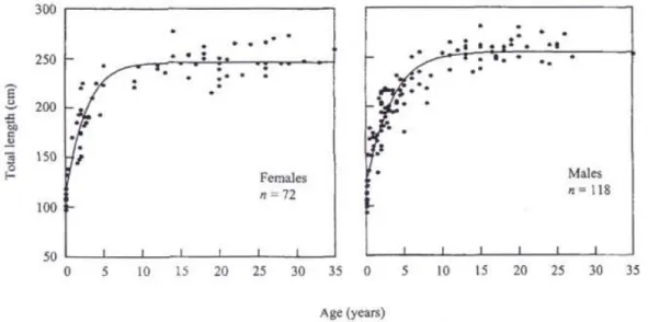 Figura 2.3 Curve di crescita, distinta in maschi e femmine, per la popolazione di tursiope della Florida  (Stolen et al., 2002) 