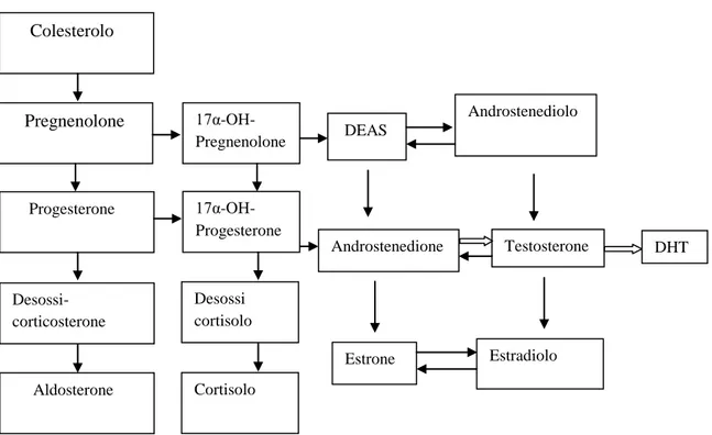 Tabella 1 : Schema biosintesi steroidea 