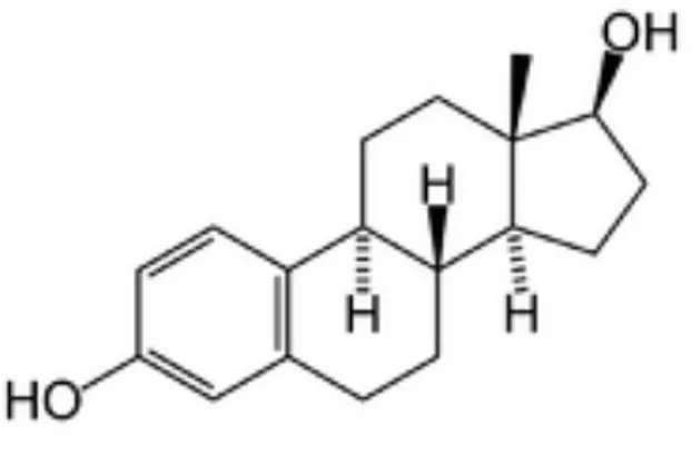 Figura 2. Struttura del 17β-estradiolo 