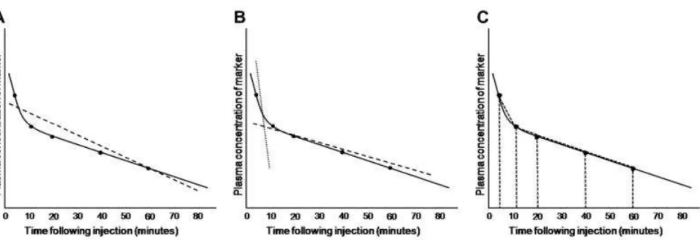 Figura  3:  Grafici  relativi  alla  distribuzione  di  un  marker  ideale  secondo  i  modelli  mono-compartimentale  (A),  bi-compartimentale  (B)  e  non-compartimentale  (C)