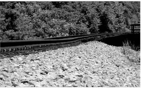 Figure 1 Typical differential settlement of a freight railroad ballasted track bridge approach