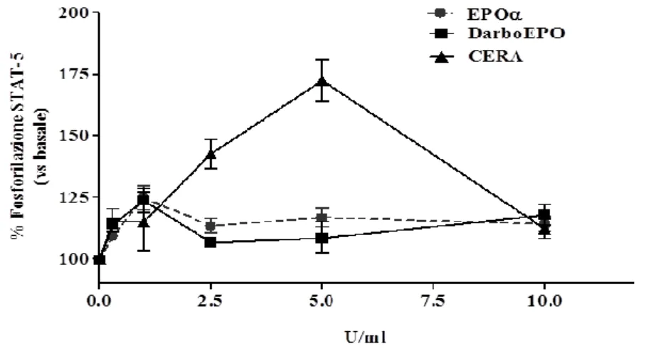 Figura  16:  Fosforilazione  della  proteina  STAT-5  mediata  da  EPOα,  DarbEPO  e  CERA: 