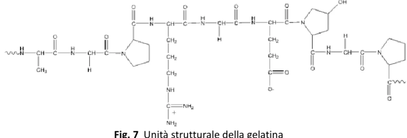 Fig. 7  Unità strutturale della gelatina 