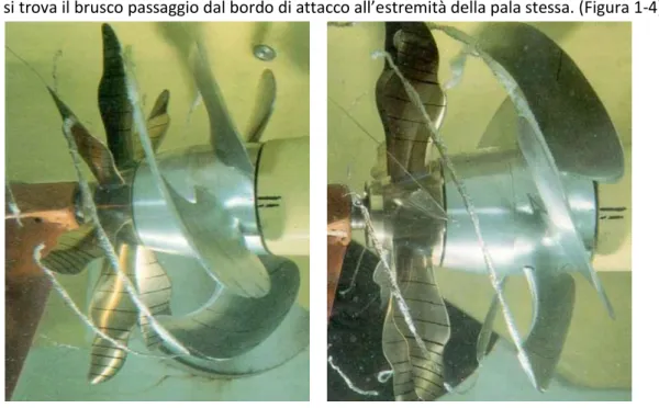 Figura 1-4 esempi di cavitazione di estremità di pala su eliche per uso marino (Brennen,1995)