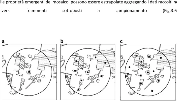 Fig 3.6: Esempi di possibili strategie di campionamento all’interno di un paesaggio a mosaico costituito da  frammenti di habitat (le aree riquadrate) e da matrice (in bianco) (adattato da Bennett, 2006).