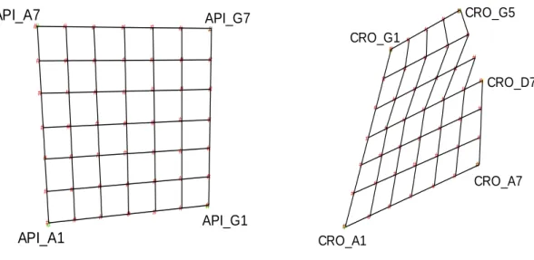 Fig. 3.8: Esempi di griglie, con la disposizione reale delle trappole rilevata tramite coordinate GPS