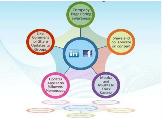 Figura 11 LinkedIn and Facebook advantages for business 