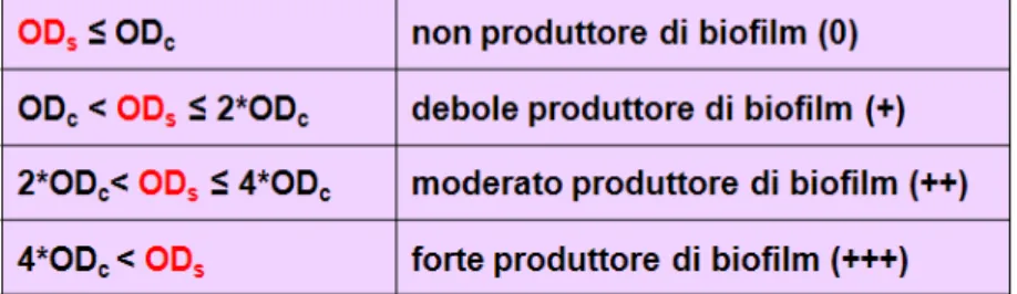 Tabella  3.  Intervalli  di  classificazione  di  ceppi  batterici  in  base  alla  produzione  di  biofilm