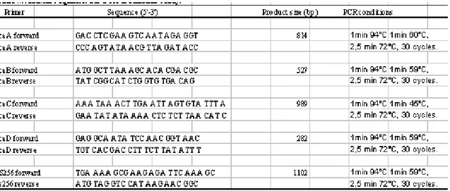 Tabella  4.  In  tabella  per  ogni  gene  sono  riportate  le  sequenze  dei  primer,  le  dimensioni attese dei frammenti di amplificazione e le condizioni di amplificazione