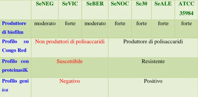 Tabella 5. Tabella riassuntiva dei risultati della caratterizzazione fenotipica e  genotipica dei sette ceppi di S