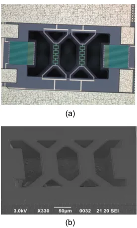 Figure 1.7: Optical microscope image (a) and SEM image (b) of an integrated calori- calori-metric ow sensor.