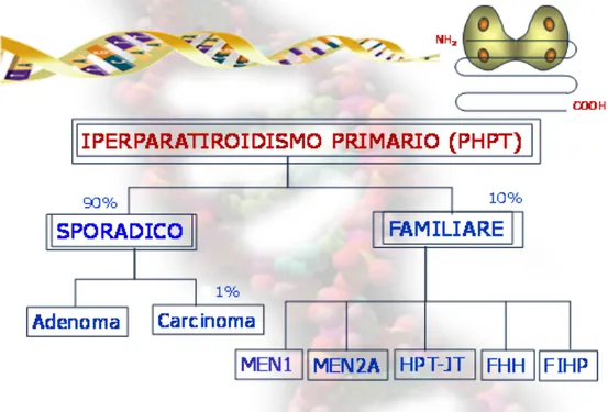Fig.  4.  Classificazione  dell’iperparatiroidismo  primario  (PHPT):  forme  sporadiche  e  familiari.