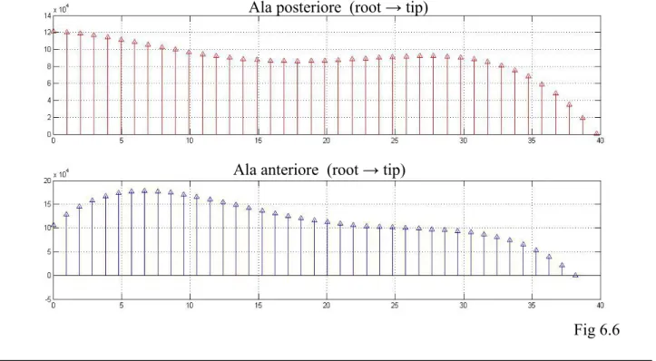 Fig 6.6Ala anteriore   (root → tip)