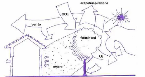 Fig. 64 Schema della casa con muri e tetti verdi 