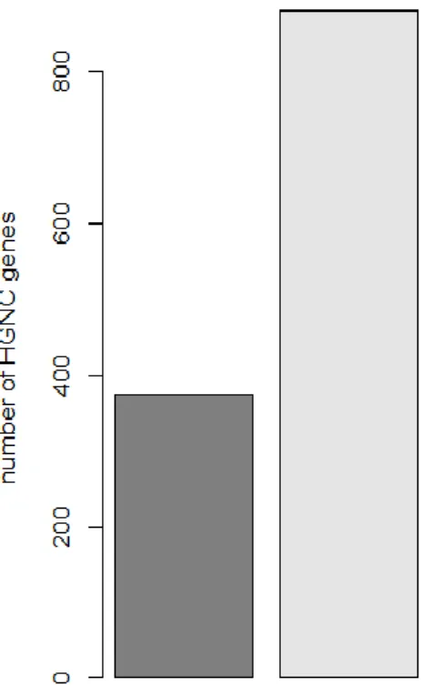 Fig. 4.3. Number of up-regulated and down-regulated HGNC genes after CARM1  silencing in SK-N-BE(2) cells.