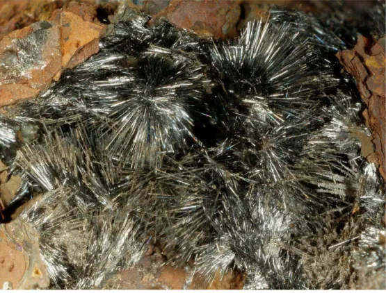 Fig. - 1.18 Needle-like crystals of woodruffite. Carlés Mine, Asturias, Spain. ©Enrico Bonacina 