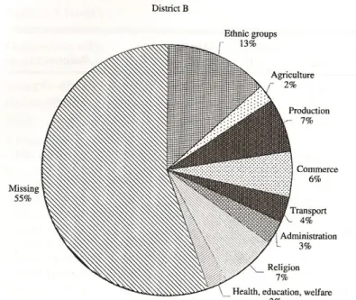 Fig. 4: Distribuzione occupazionale nel distretto B della meris  Themistou