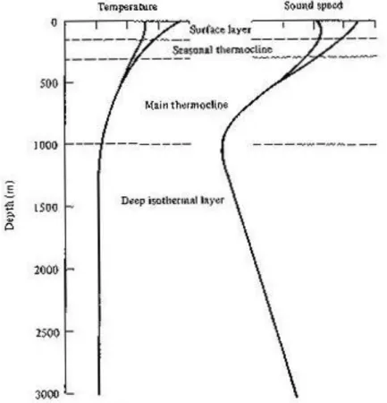 Figura 2.1 Temperatura e velocità del suono in funzione della quota. Notare che raggiunta la profondità  di circa 1000 metri (isoterma profonda) la temperatura dell’oceano si stabilizza a circa 2°C, e la velocità  del suono ha un andamento quasi lineare