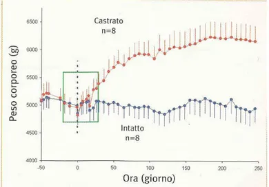 Figura 1.4  Aumento ponderale osservato in gatti maschi adulti prima e dopo la castrazione