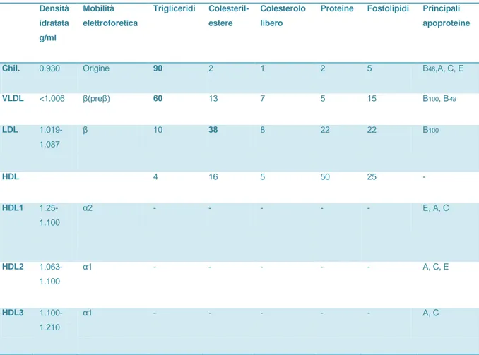 Tabella 2.5 Caratteristiche delle lipoproteine (Shenck P.A., 2008) 