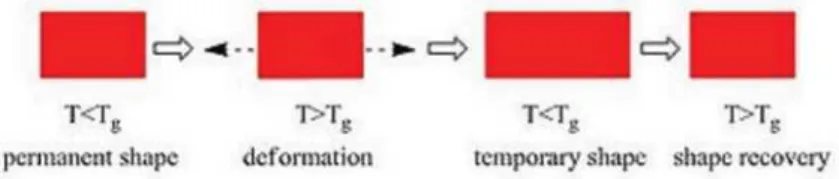 Figure 1.13: Schematic representation of the thermally induced shape memory effect.