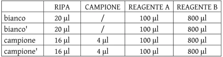 Tabella 1: Schema di allestimento del dosaggio proteico di Folin 