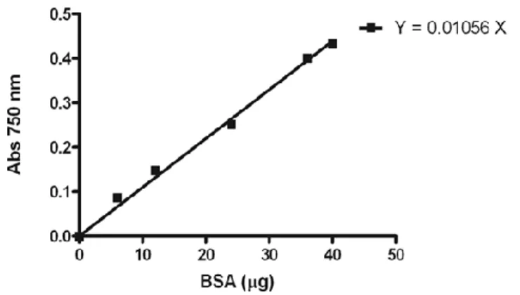 Figura 1: Retta di taratura per il dosaggio proteico di Folin 