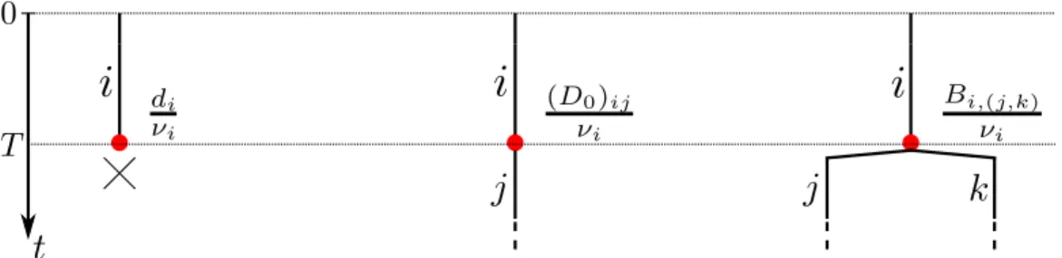 Figure 2.2: MBT as a Markovian branching process. The time T is a random variable following an exponential distribution of parameter ν i = −(D 0 ) ii 