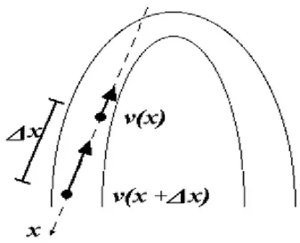 Figura 3  La figura illustra la valutazione longitudinale dello strain rate dalle velocità di due  punti del miocardio che si accorcia ad una distanza ∆x, dove v2 è la velocità misurata al  punto x, cioè la v (x), mentre v1 è misurata seguendo la stessa li