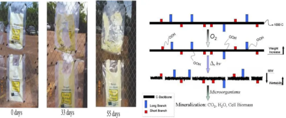 Figure  1.15.  Fragmentation  in  outdoor  exposure  of  PE  Bags  containing  pro-oxidant/pro- pro-oxidant/pro-degradant additives 