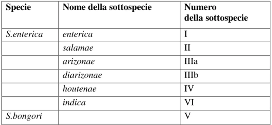 Tabella 1 Classificazione delle salmonelle (secondo Le Minor, 1987) 