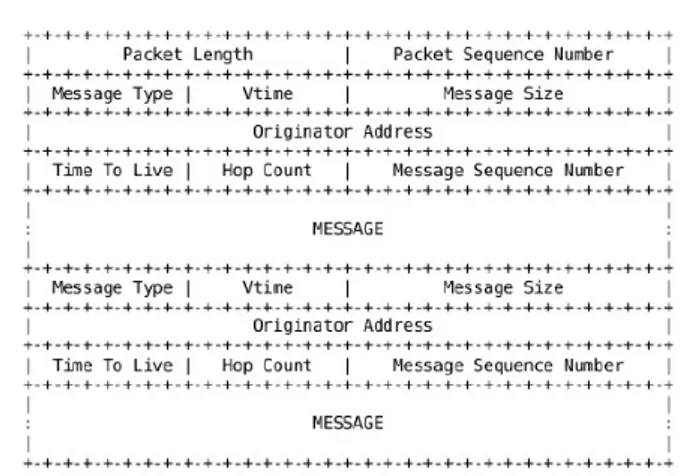 Figura 1.3: Formato di un pacchetto OLSR generico contenente due messaggi.