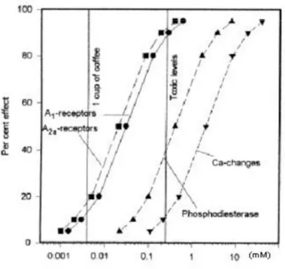 FIGURA 6. Il grafico mostra la relazione esistente tra concentrazioni plasmatiche (in mM) di caffeina e i  suoi meccanismi molecolari di azione (Fredholm et al., 1999) .