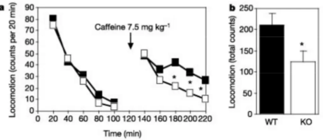 FIGURA 7.  Riduzione degli effetti stimolanti motori acuti della caffeina
