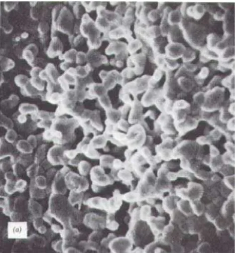 Figura 8.6 - Particelle di polveri dopo la sinterizzazione 