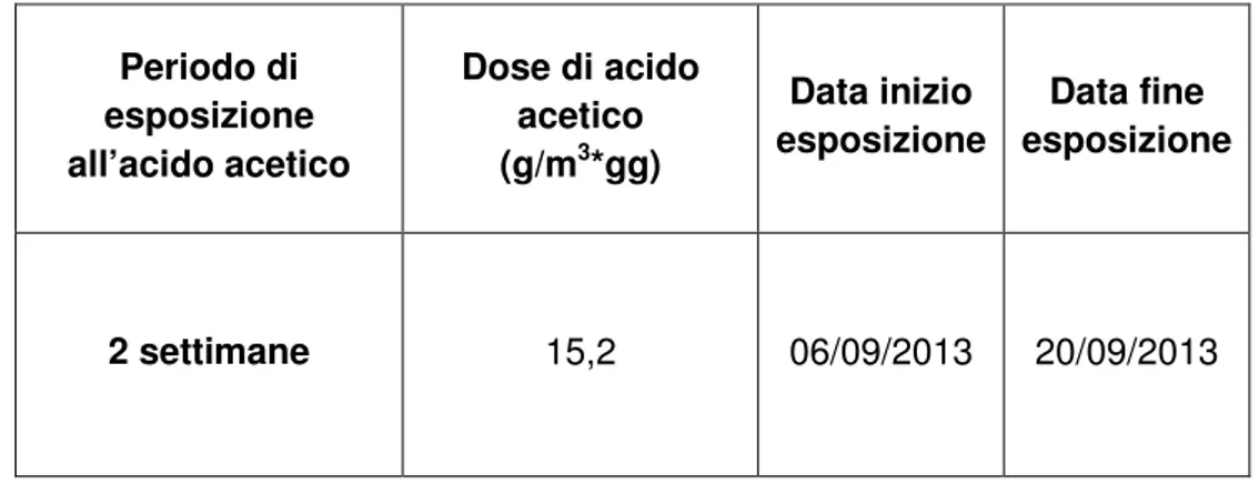 Tabella 3. Dosi e date relative all’invecchiamento artificiale mediante esposizione ad acido acetico  per 2 settimane (DCCI)