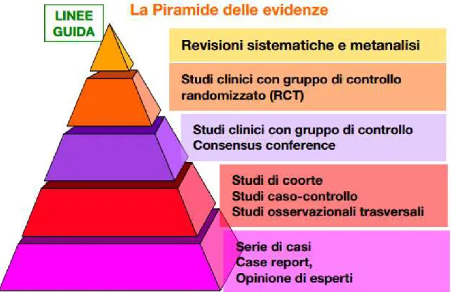 Fig. 7 - La piramide delle evidenze 