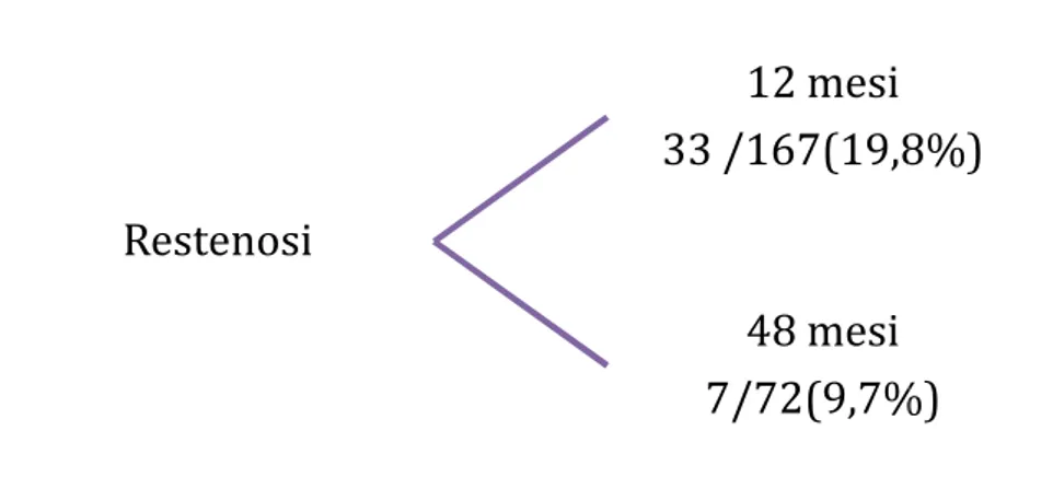 Fig.  4    Restenosi  a  12