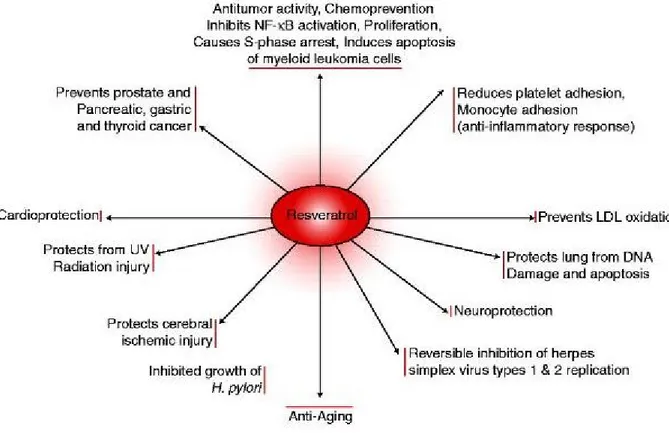 Figura 10 - Meccanismi farmacologici attribuiti al resveratrolo. 