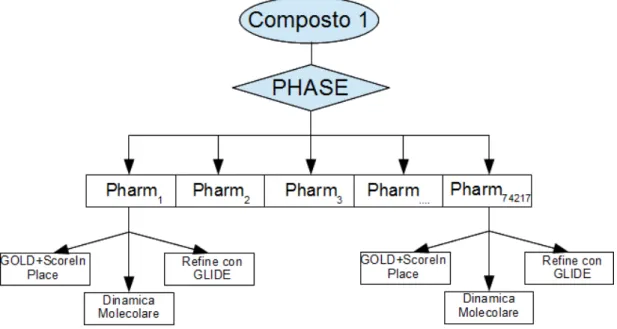 Figura 8: workflow condotto con la strategia di PHASE.