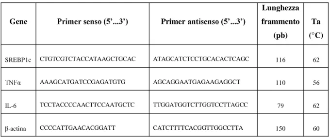 Tabella 5: primer utilizzati e loro caratteristiche. 