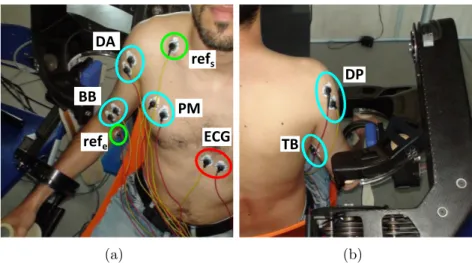 Figura 4.8: Posizione degli elettrodi sEMG su braccio e spalla. Vista anteriore (a.) e posteriore (b.) dei braccio e spalla.