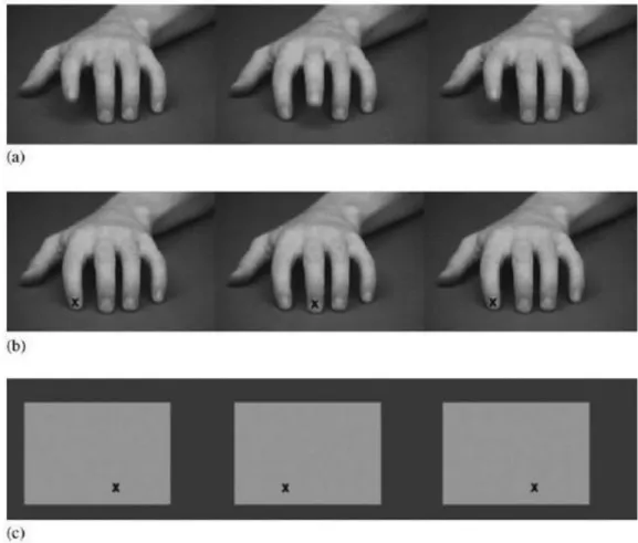 Figura 1.4: Esperimento in cui si mostra il movimento del dito indice o medio (a); 