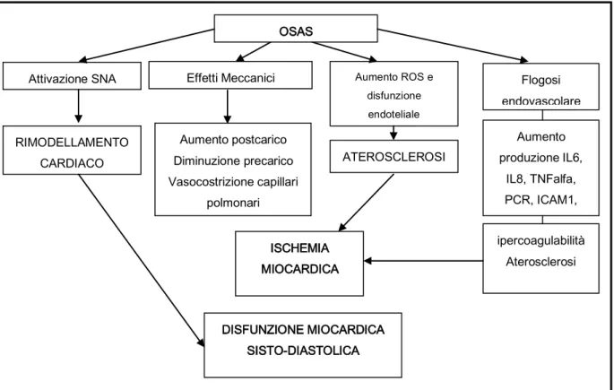Figura 1. Principali meccanismi di disfunzione miocardica nei pazienti OSAS. Modificato da Schittano e coll.,  2012