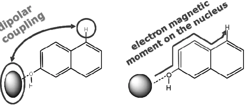 Figure 1. Pseudocontact (left) and Fermi contact shifts (right) origin for an organic moiety  coordinated to a Ln 3+  ion