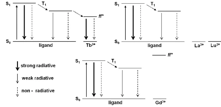 Figure 29. Schematic energy level diagrams for three typical types of rare earth complexes