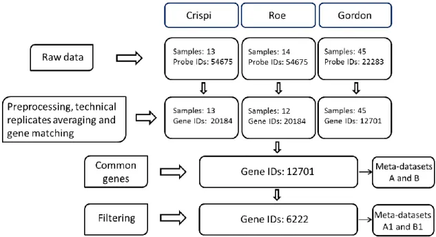 Figure 4.4: A diagram for data preprocessing, gene matching and gene filtering 