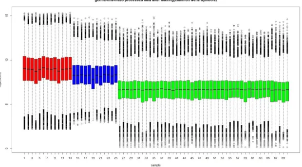 Figure  4.10:  Box  plots  of  data  preprocessed  using  the  algorithms  described  by  individual  authors  after  filtering  (common  Gene  Symbols  only)  (red=Crispi  dataset,  blue= Røe dataset, green=Gordon dataset) 