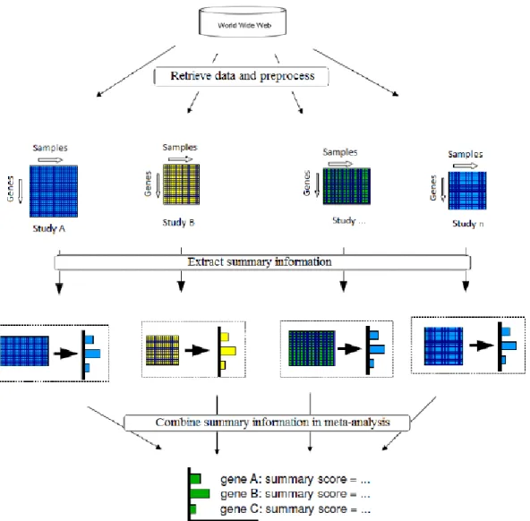 Figure 3.1: Stages of relative meta-analysis of microarray data (image from [13]) 