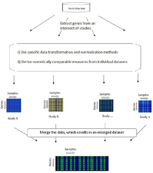 Figure 3.2: Stages of absolute meta-analysis of microarray data (image from [13]) 